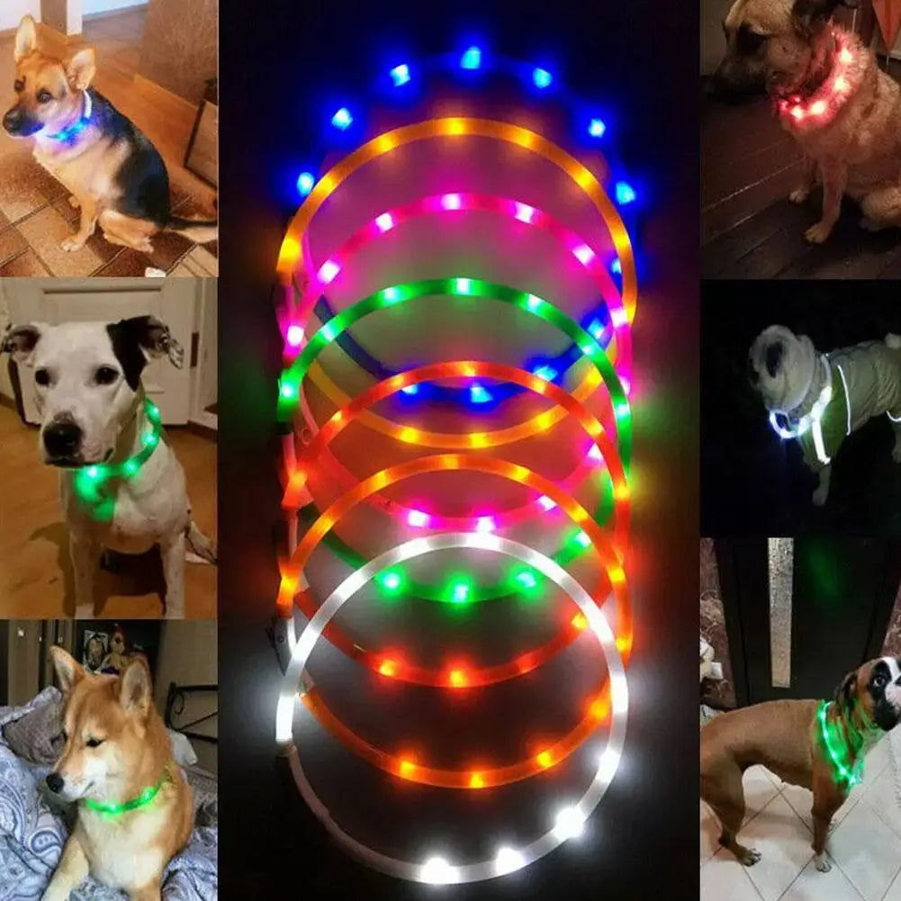 LED Glowing Dog Collar: Rechargeable, Waterproof, 50cm