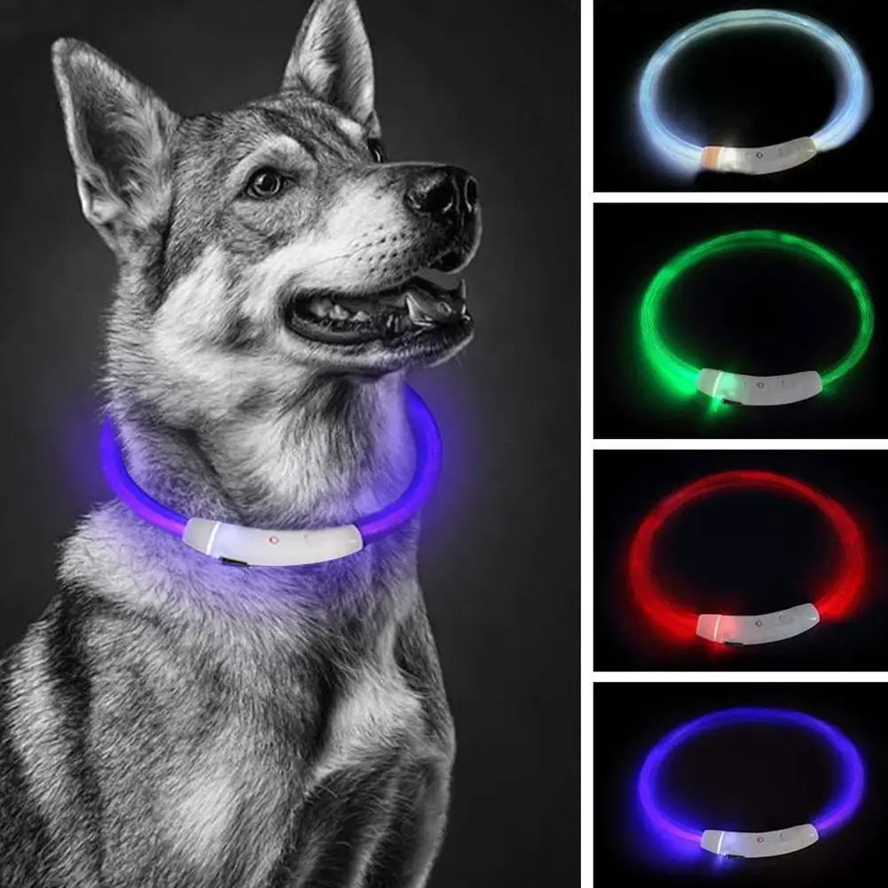 LED Glowing Dog Collar: Rechargeable, Waterproof, 50cm