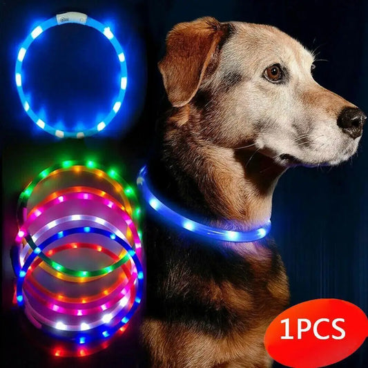 LED Glowing Dog Collar: Rechargeable, Waterproof, 50cm